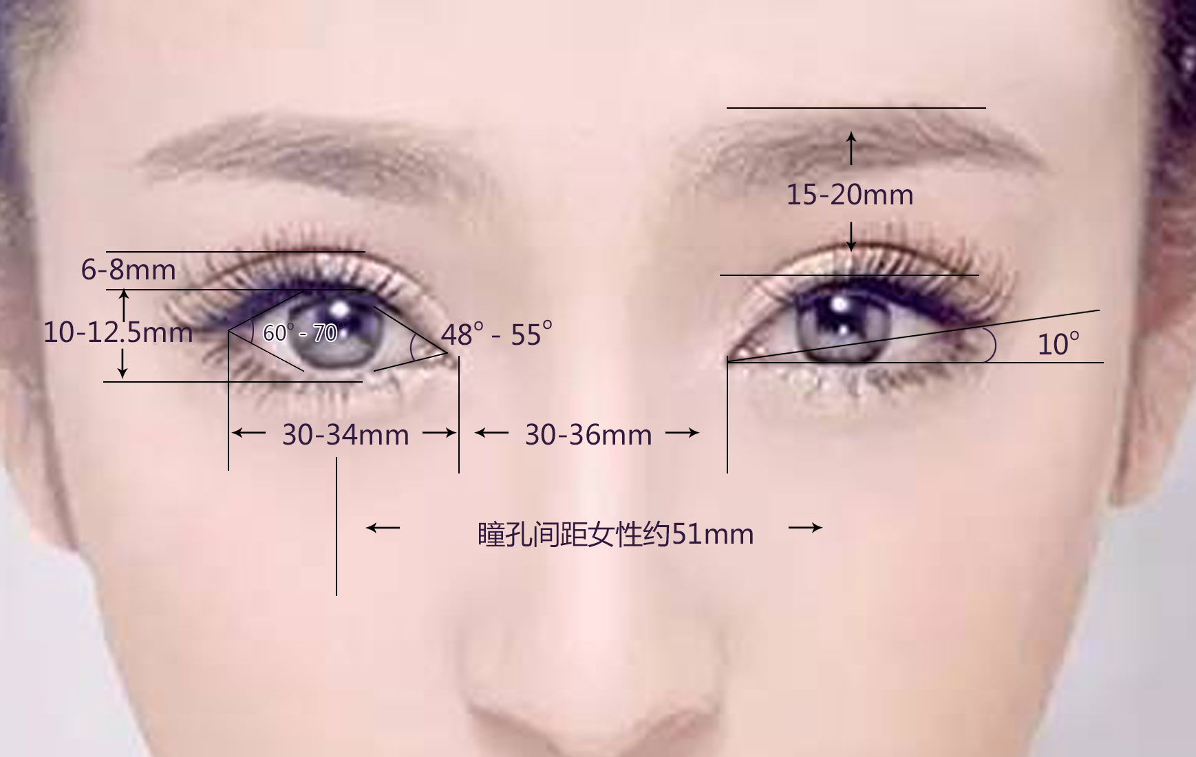 双眼皮都分为哪几种形状？